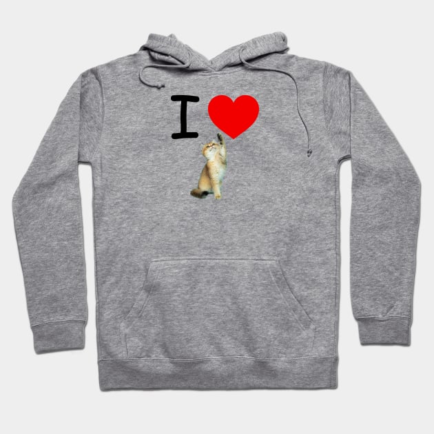 I HEART CARMEL KITTEN Hoodie by EmoteYourself